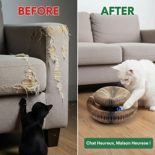 Magic Cat Scratch Organ Board Cat Toy with Ball Cat Grinding Claw Cat Climbing Frame Kitten Round Corrugated Cat Scratching Toy